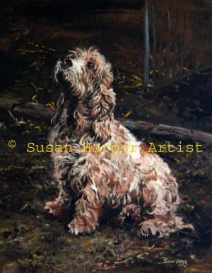 Copyright Basset Griffon Vendeen (grand) 1