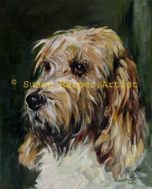 Copyright Basset griffon vendeen (grand) 2