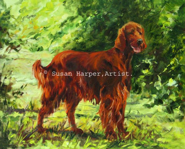 Copyright Irish Setter 1