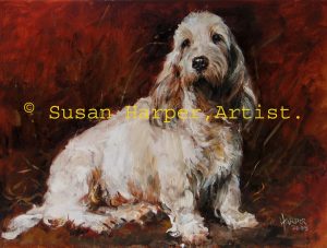 Copyright basset griffon vendeen (grand) 3