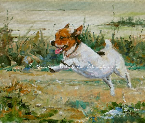 Copyright jack russell 1