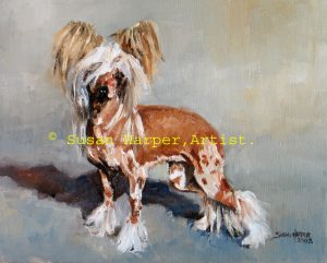 copyright Chinese Crested 1