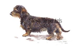 copyright Dachshund-mini wire 3