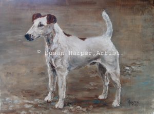 copyright Fox Terrier - Smooth 1