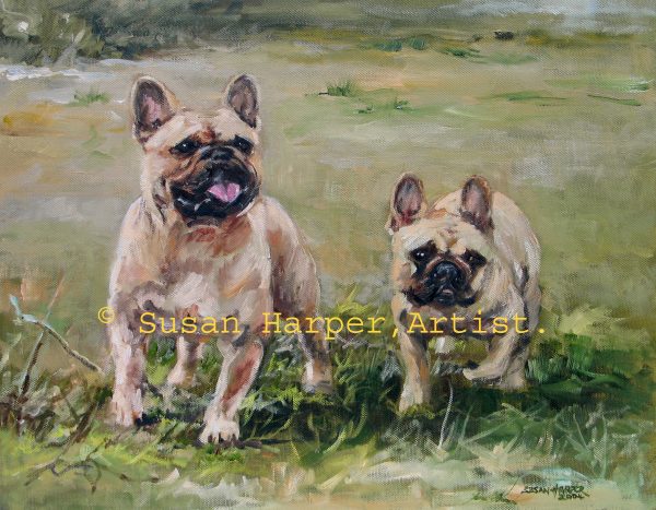 copyright French Bulldog 1