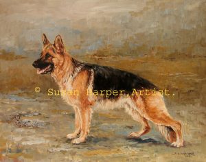 copyright German Shepherd Dog 2