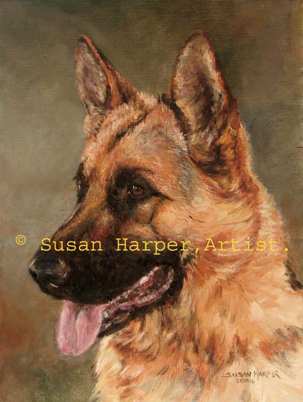 copyright German Shepherd Dog 3