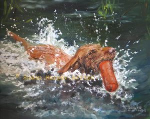 copyright Hungarian Wire-haired Vizsla 2