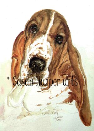 copyright basset 5