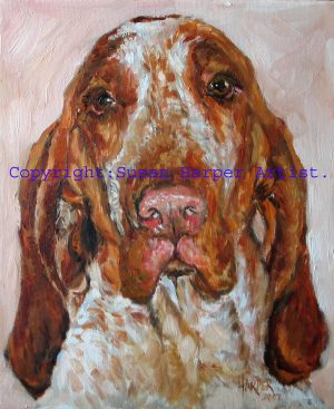 copyright bracco Italiano 2