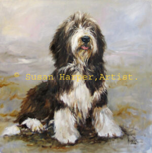 Painting of a Bearded Collie 5