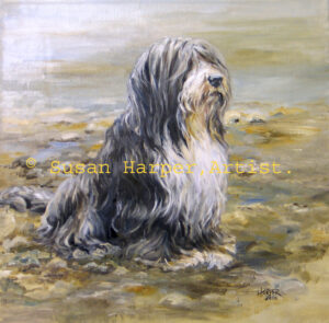 Painting of a Bearded Collie 6
