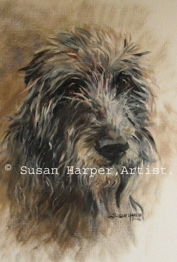 copyright deerhound 7