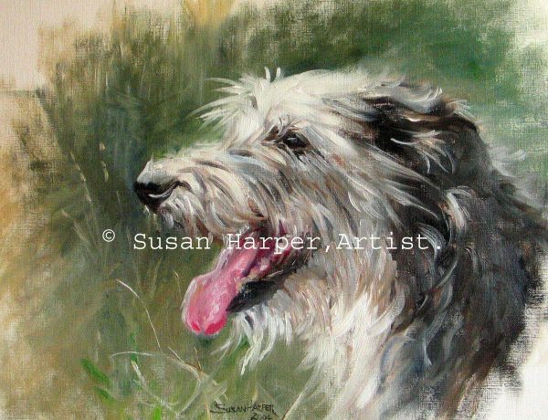 copyright deerhound 8