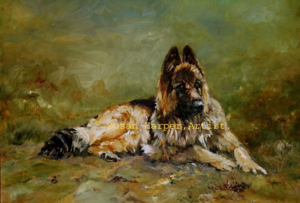 copyright german shepherd dog 1