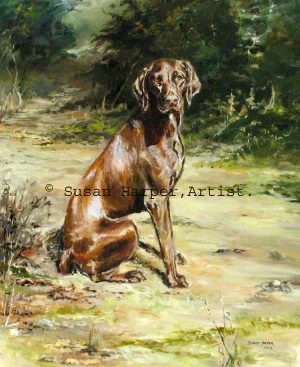 copyright german shorthaired pointer 1