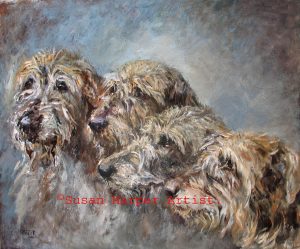 copyright irish Wolfhound 21