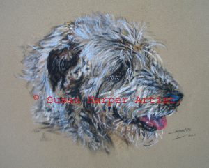 copyright irish Wolfhound 24