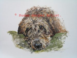 copyright irish Wolfhound 27