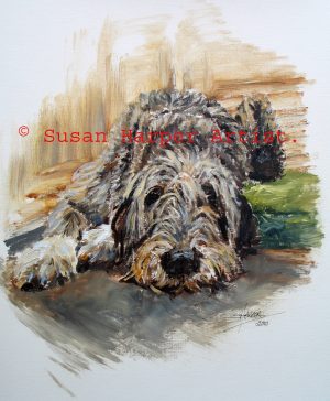 copyright irish Wolfhound 28