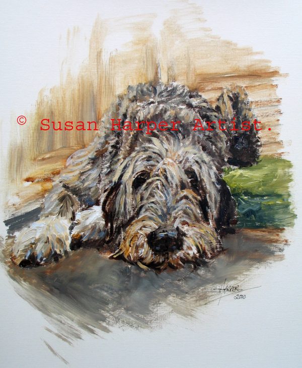 copyright irish Wolfhound 28