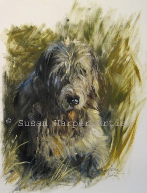 copyright irish wolfhound 11