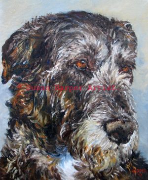 copyright irish wolfhound 14