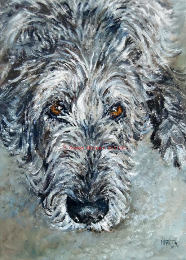 copyright irish wolfhound 15