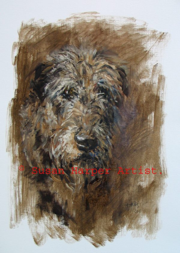 copyright irish wolfhound 18