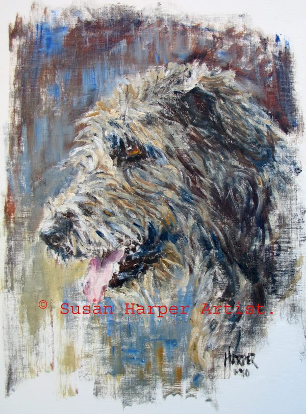 copyright irish wolfhound 19