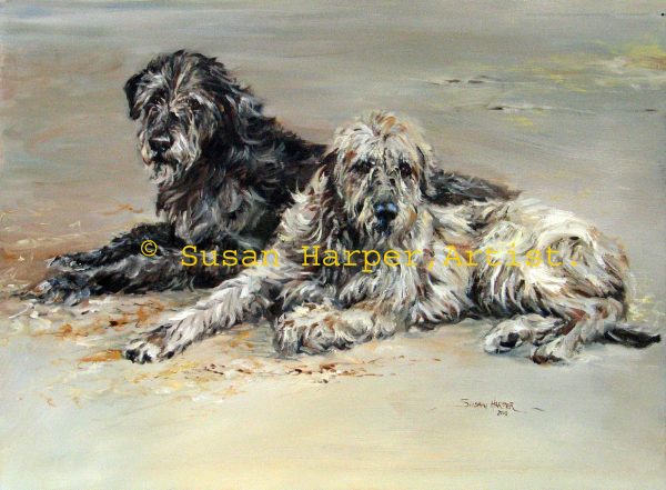 copyright irish wolfhound 2