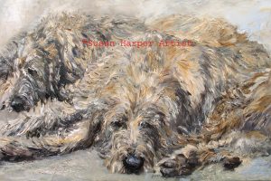 copyright irish wolfhound 32