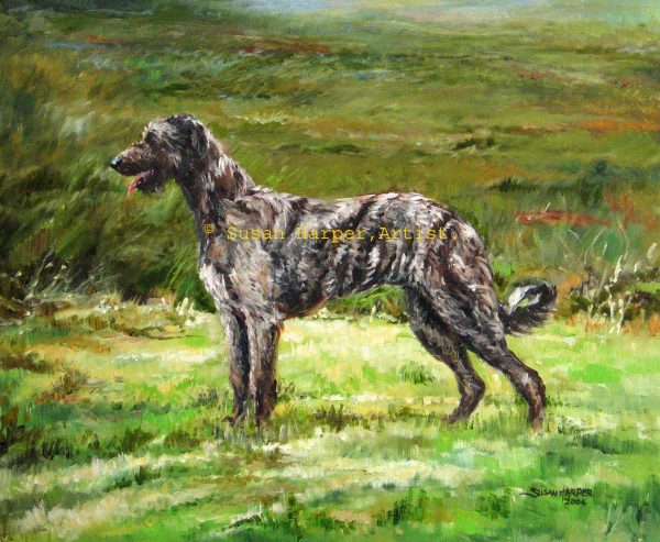 copyright irish wolfhound 4