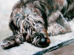 copyright irish wolfhound 8