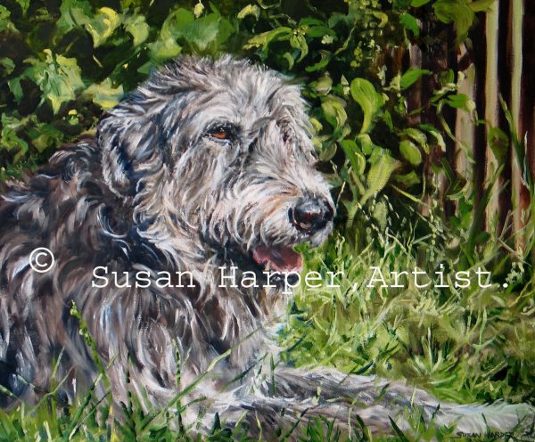 copyright irish wolfhound 9