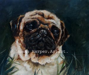 copyright Pug 2