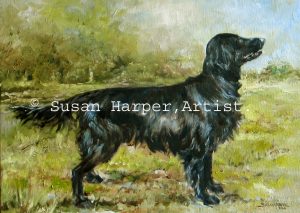 copyright Retriever-flatcoat 1