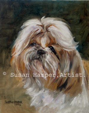 Painting of a Shih Tzu 17