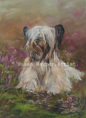 copyright Skye Terrier 1