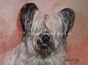 copyright Skye Terrier 2