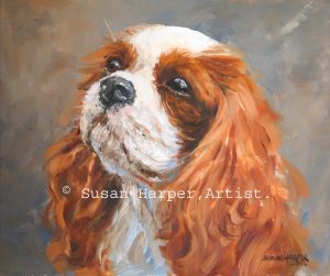 copyright Spaniel-Cavalier King Charles 1