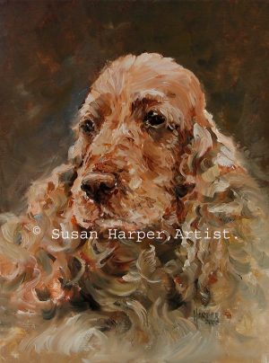 copyright Spaniel-Cocker 2