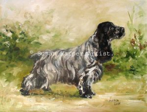 copyright Spaniel-Cocker 4