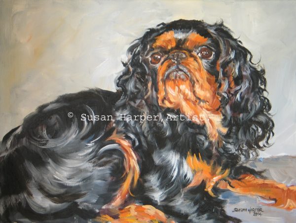 copyright Spaniel-King Charles 1