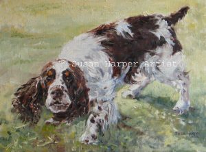 copyright Spaniel-english springer 2