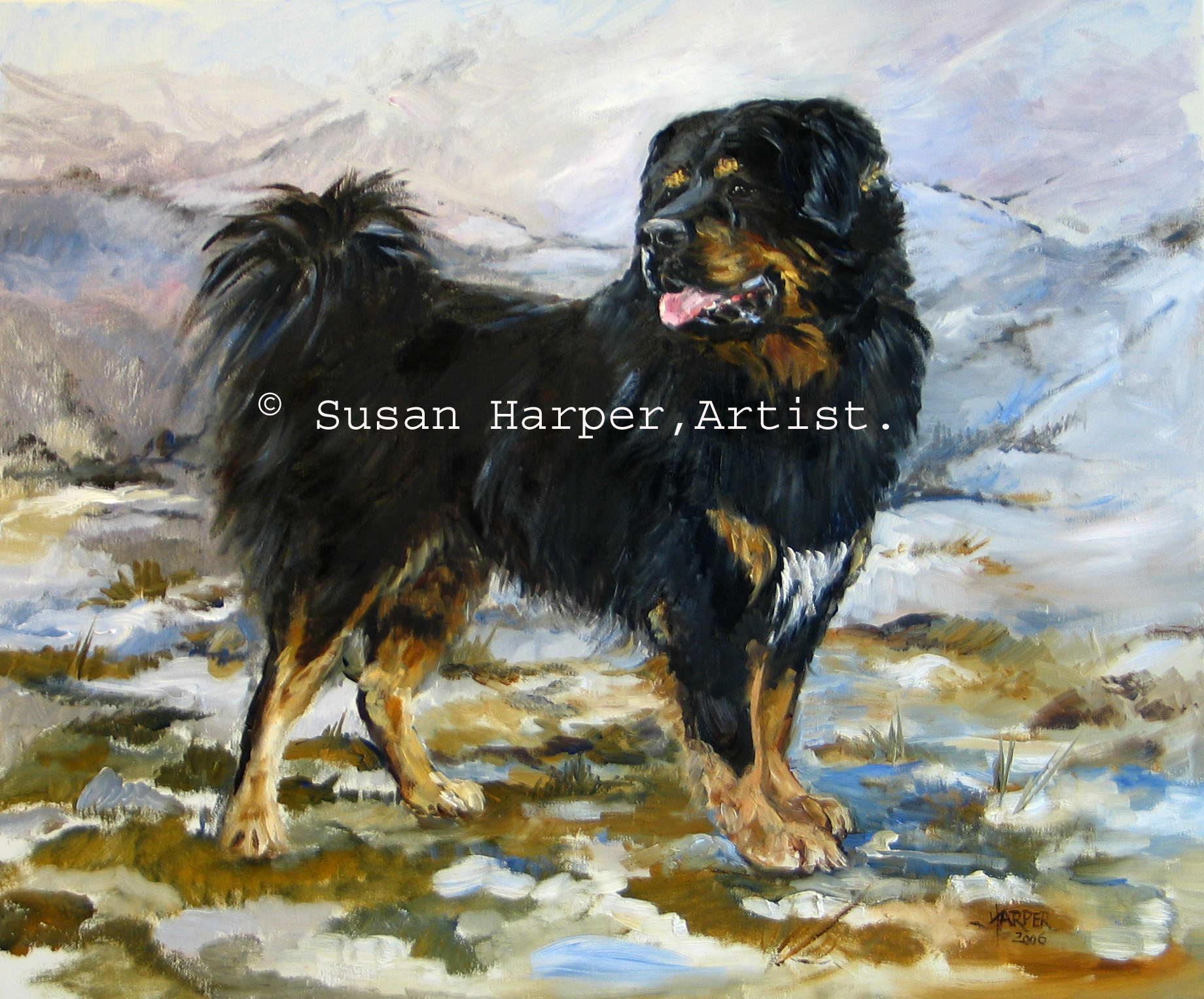Tibetan mastiff art 2025