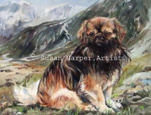 copyright Tibetan Spaniel 5