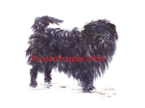 copyright affenpinscher 1