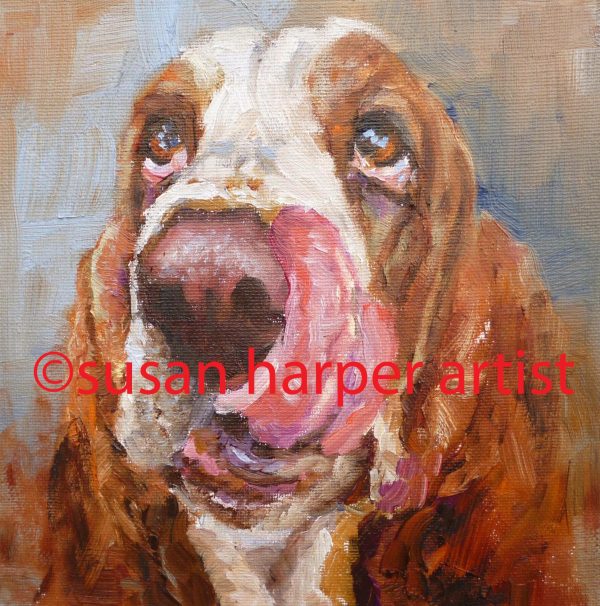 copyright basset hound 19