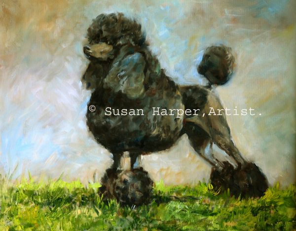 copyright poodle 2